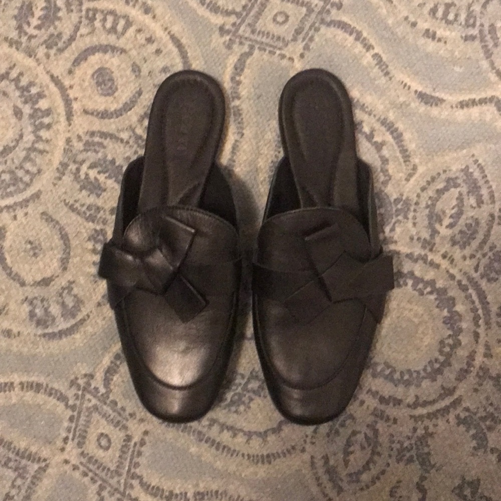 BORN MULES